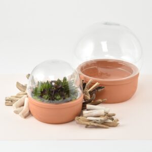 Terrarium Tora Ø24 H25
