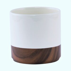 CP Syracuse blanc ou noir Base  Bois