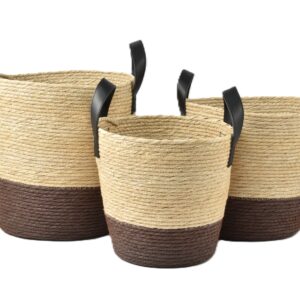 S/3 CP Croisic marron