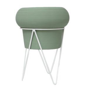 CP Sellette Euphorbe